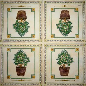 015 Oliven - 3-lagig - Ihr - CS